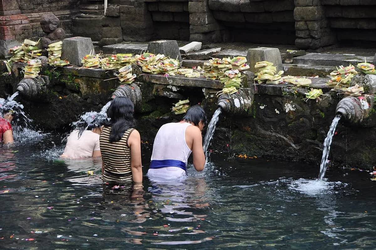 Half Day Private Tour: Sacred Monkey Forest Sanctuary & Tirta Empul Holy Water Temple