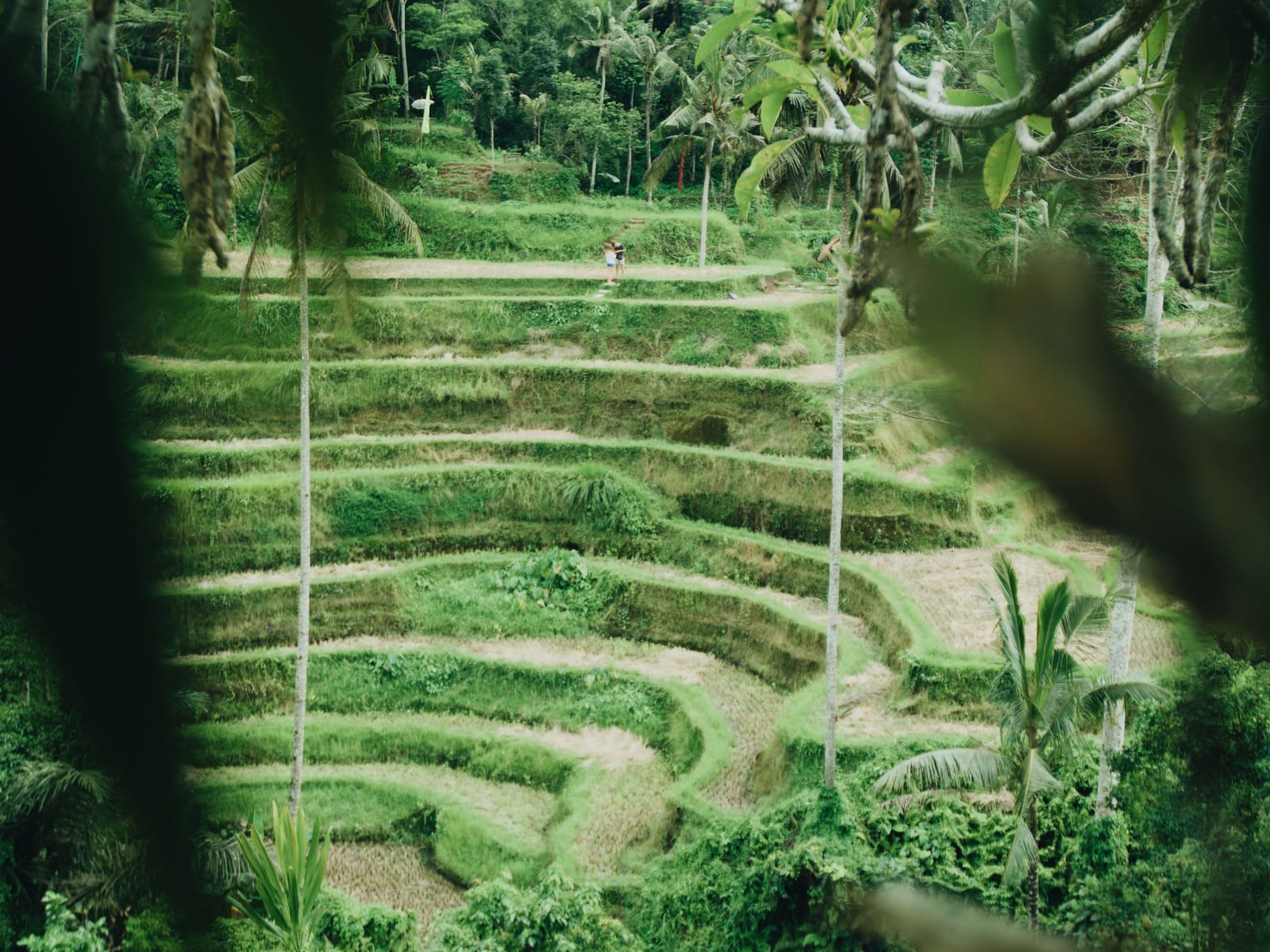 Bali Half-Day Tours (5–6 Hours): Best Itineraries When You Are Short on Time