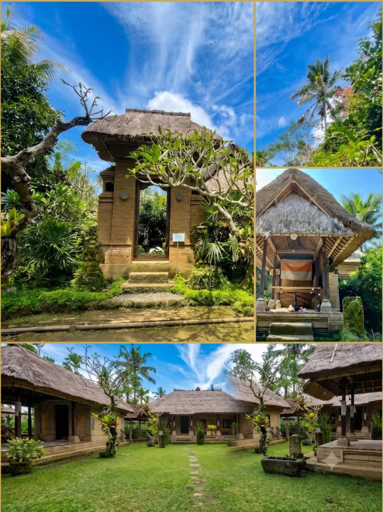Ethical Luwak Coffee Plantation & Tasting Flight (Umah Kuno)