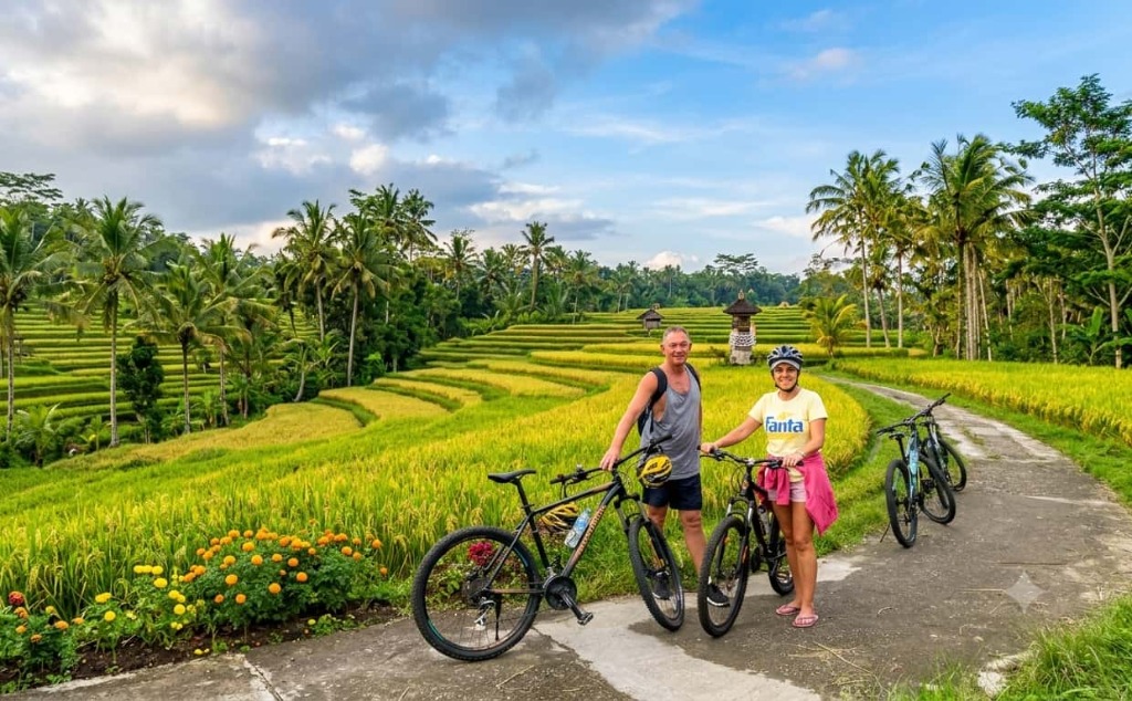 Ubud & Pejeng Ricefield Countryside Cycling Tour