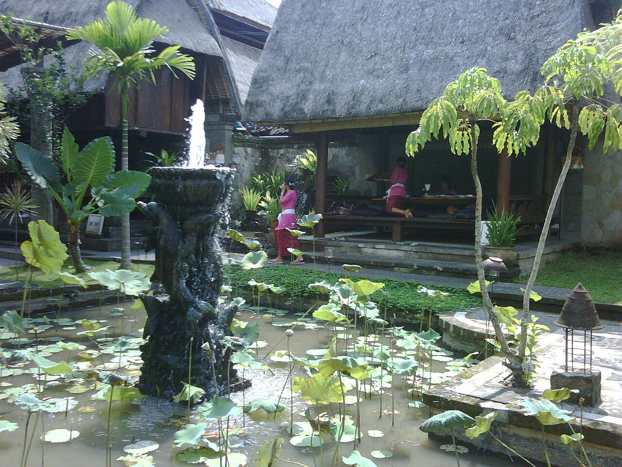 Bali tour photo 9