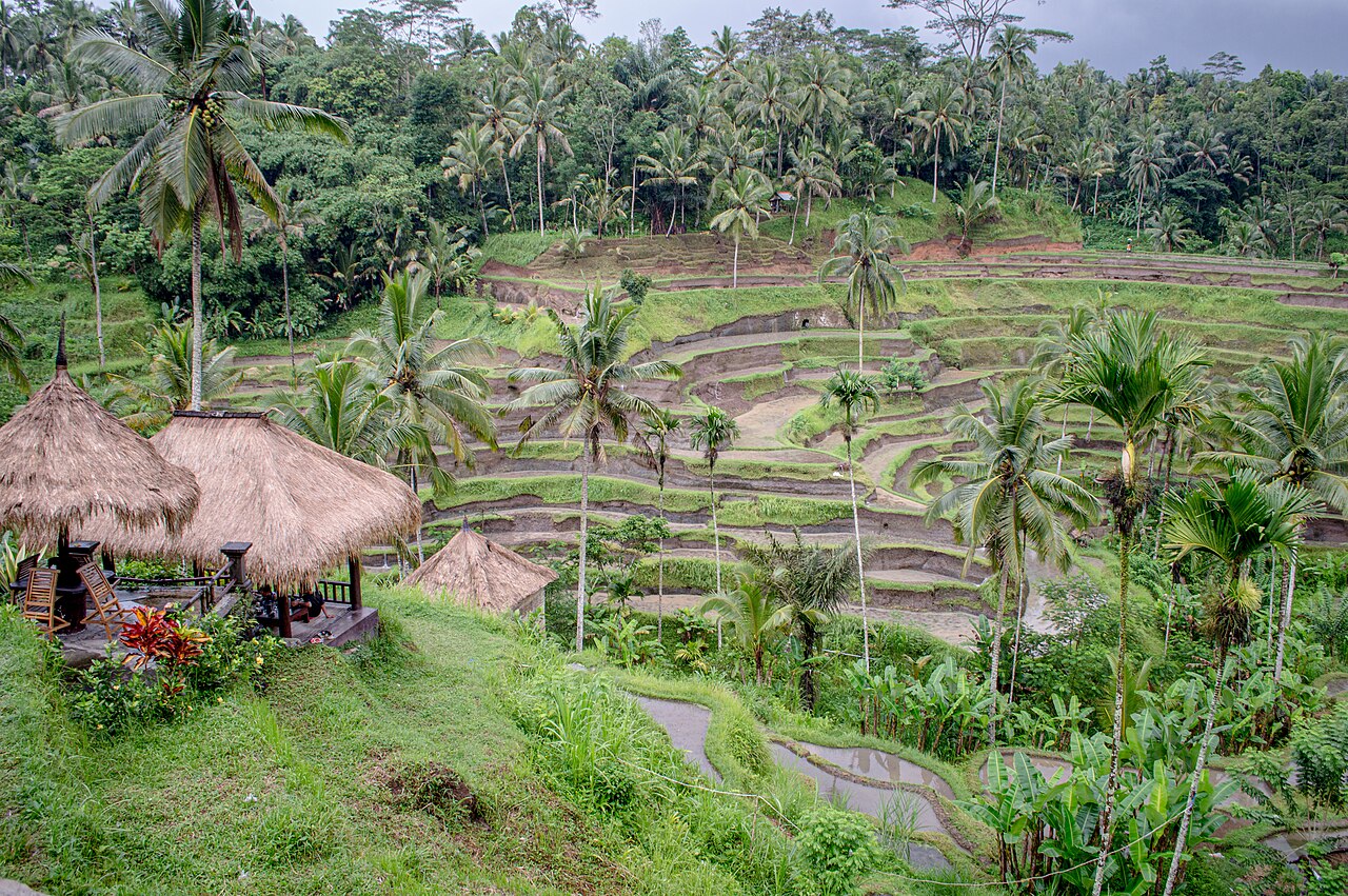 Bali tour photo 7