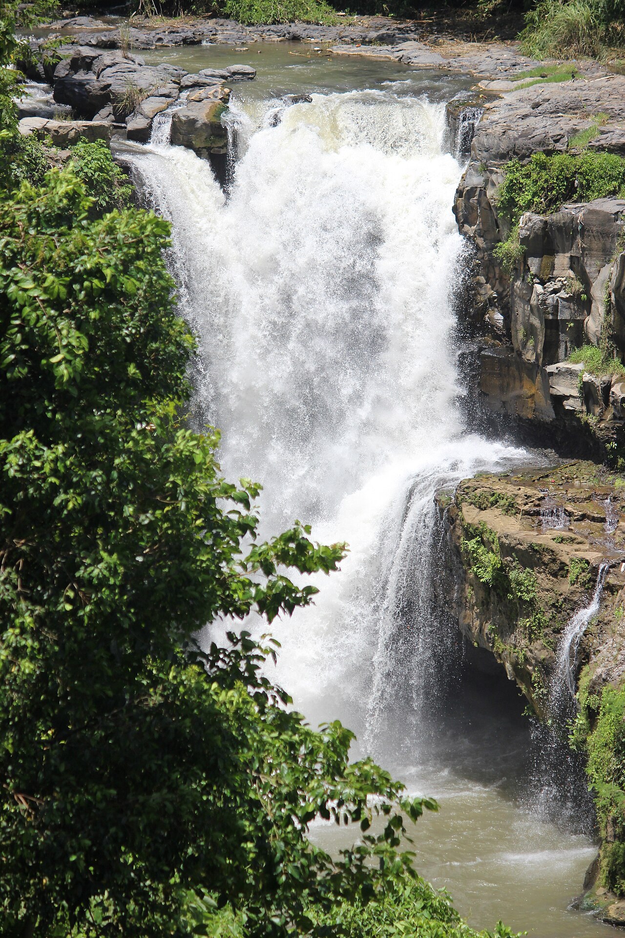 Bali tour photo 14